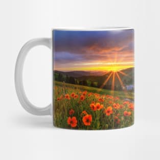 Beautiful landscap flowers and sunset Mug